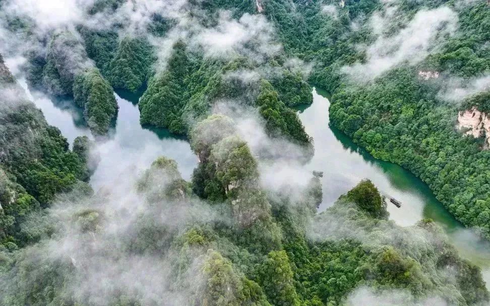 58f6bcc3e4ef41a19f255ee1bfebcb59.jpg 58f6bcc3e4ef41a19f255ee1bfebcb59.jpg