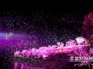 《桃花源记》大型溪流漫游实景演出—“落英缤纷”