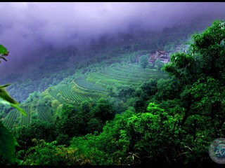 石门罗坪风光