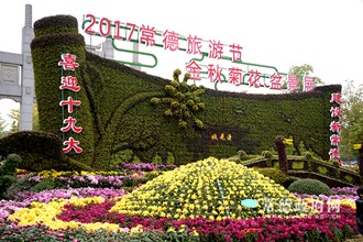 丁玲公园菊花展