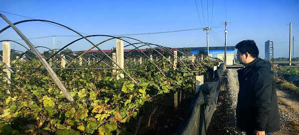 微信图片_20241204160407