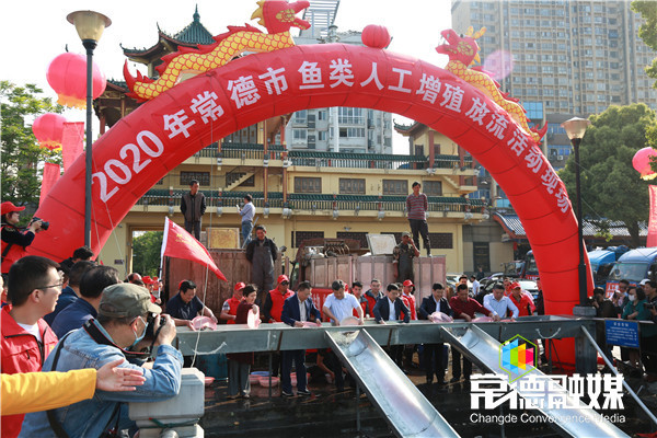 1065万尾鱼苗放流沅江