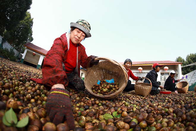 常德市脱贫攻坚摄影作品展播（第二期）