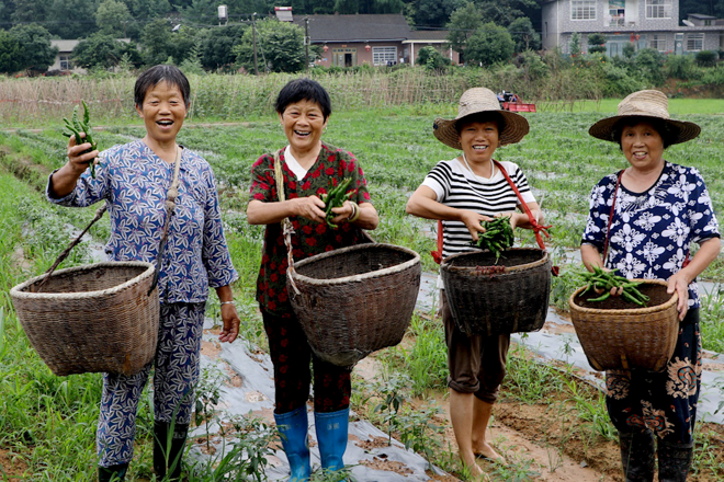 常德市脱贫攻坚摄影作品展播（第四期）