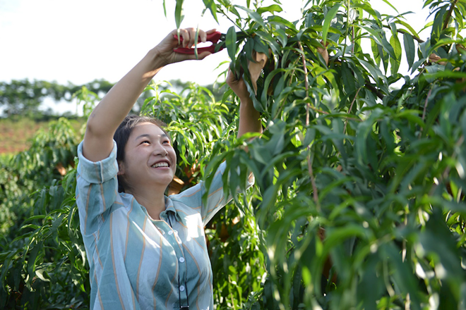 常德市脱贫攻坚摄影作品展播（第九期）