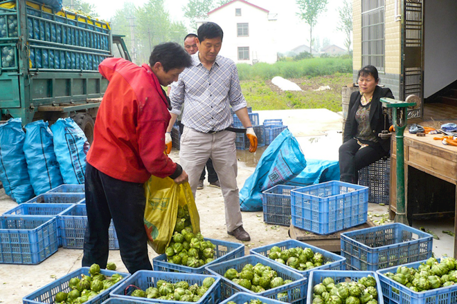 常德市脱贫攻坚摄影作品展播（第十二期）