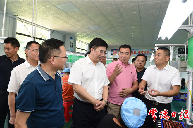 邹文辉赴桃花源、桃源县调研时指出 坚持讲政治抓落实 做好“收官之年”各项工作