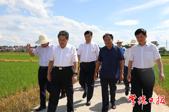 隋忠诚来常调研农业工作时指出 确保农业增效、粮食增产、农民增收