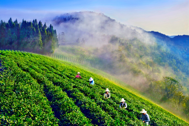 常德市脱贫攻坚摄影作品展播（第十六期）