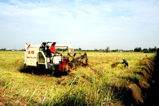 常德市脱贫攻坚摄影作品展播（第十七期）