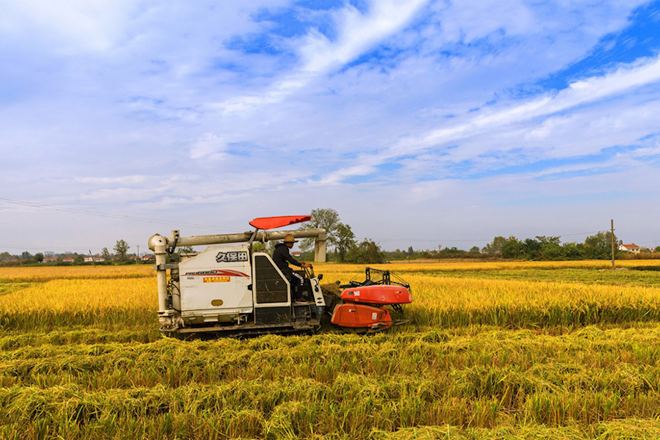 常德市脱贫攻坚摄影作品展播（第二十期）