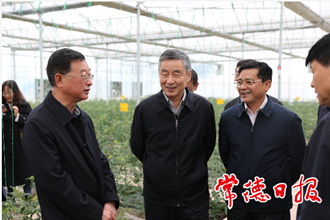 戴道晋来常调研时强调：让广大群众切实享受供销社综合改革成果
