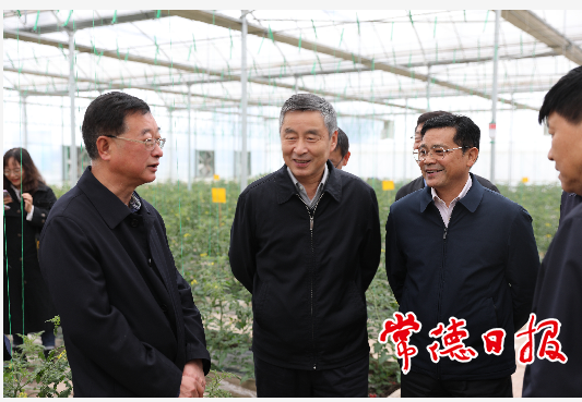 戴道晋来常调研时强调：让广大群众切实享受供销社综合改革成果