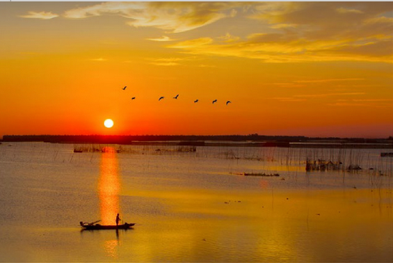 西洞庭湖国家湿地公园