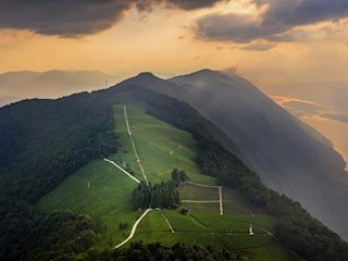 最美茶园白云山