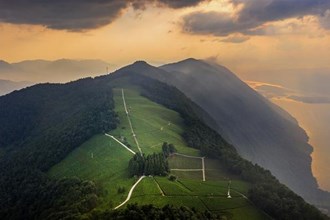 最美茶园白云山