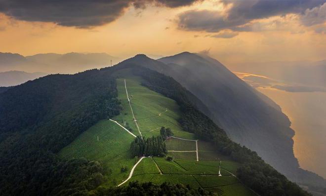 最美茶园白云山