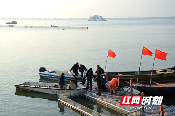 柳叶湖年鱼集捕鱼现场