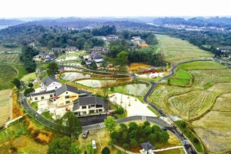 俯瞰草坪镇枫林口村幸福屋场