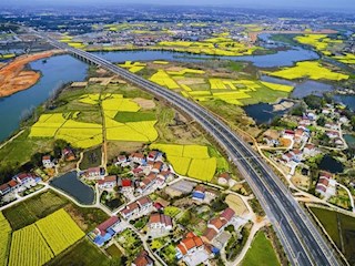 长龙卧波