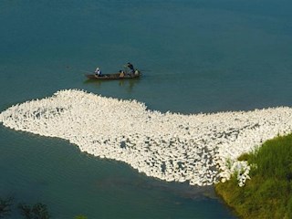 集结
