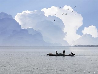 柳叶湖上的渔夫