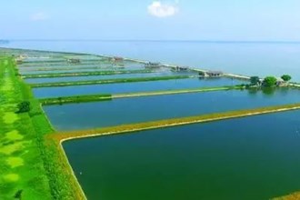 珊珀湖