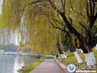 常德穿紫河、沅水风光带【组图】