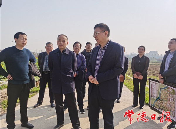 “常德种子”要走产业化之路