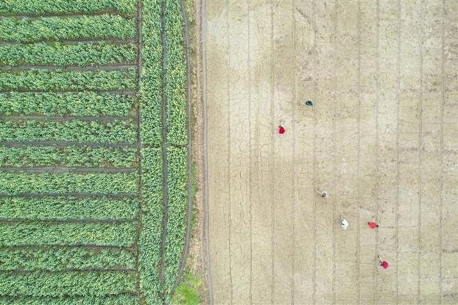 【经济】正是春天耕耘时