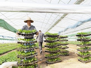 【经济】抢抓农时耕耘忙 不误田畴一季春