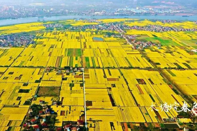 桃源县木塘垸春色