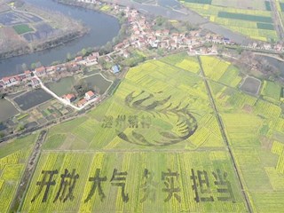 【经济】澧县小渡口镇土地洲村油菜彩绘