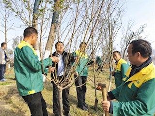 【社会】不负好春光 植树添新绿