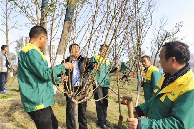 【社会】不负好春光 植树添新绿