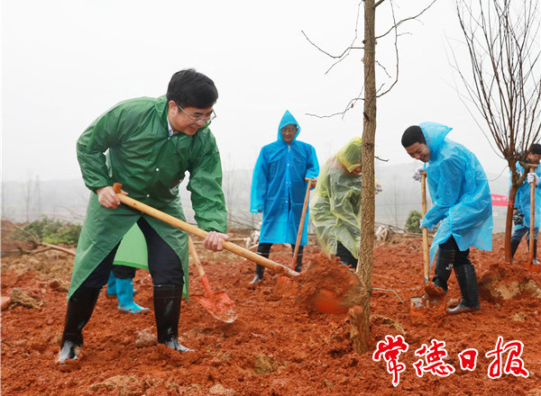 我市开展集中义务植树活动扮靓常德
