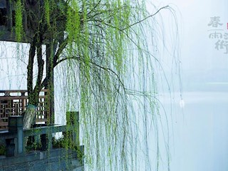 春雨河街