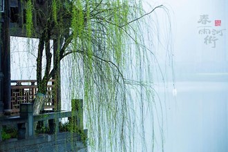 春雨河街