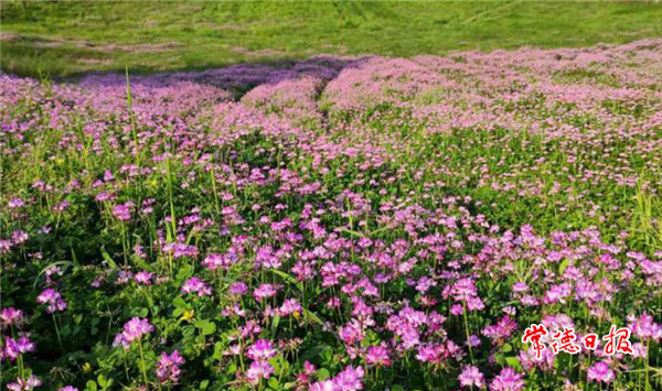 你好，人间四月天