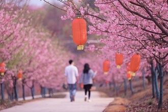 常德樱花园