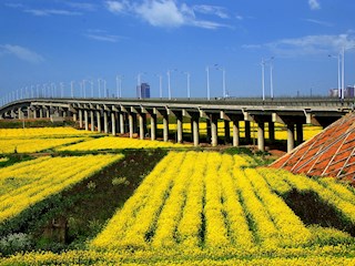春洒澧水大桥
