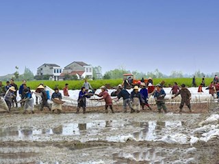 【经济】一年之计在于春，春耕育秧正当时
