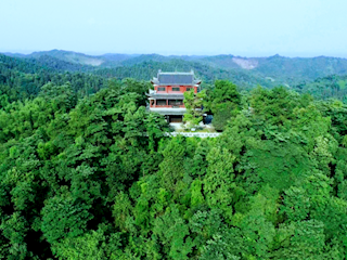 来桃花源里，过向往的生活！【组图】