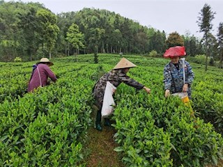 石门县壶瓶山镇