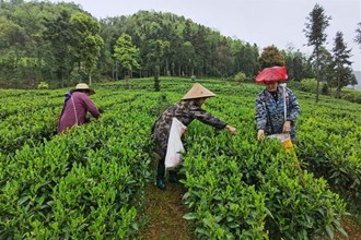 石门县壶瓶山镇