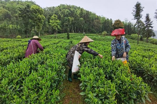 石门县壶瓶山镇