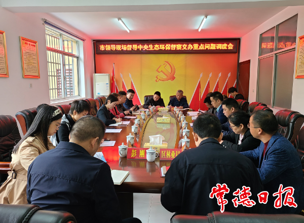 市领导督导生态环境问题整改时强调：让绿色成为常德高质量发展的底色