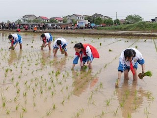 桃源县首届农耕文化节