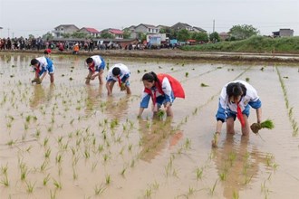 桃源县首届农耕文化节