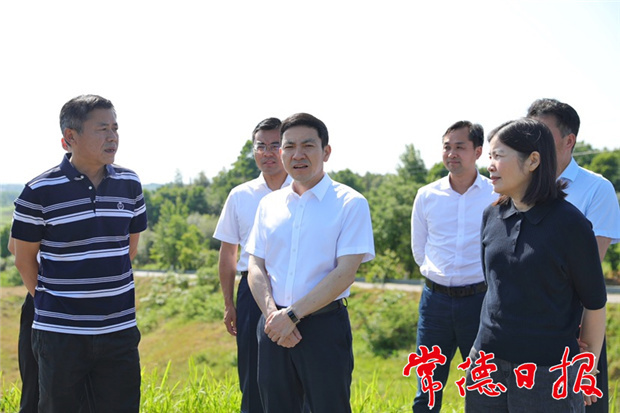 市领导赴临澧督导防汛备汛等工作